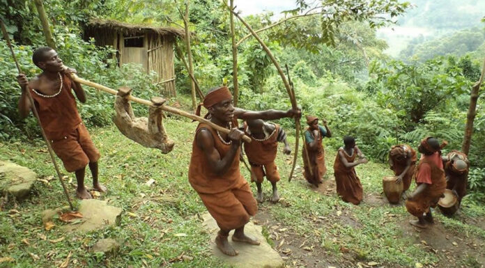 Batwa Experience