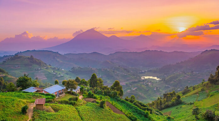 A Safari to Uganda, the Land Gifted by Nature Exploring Uganda