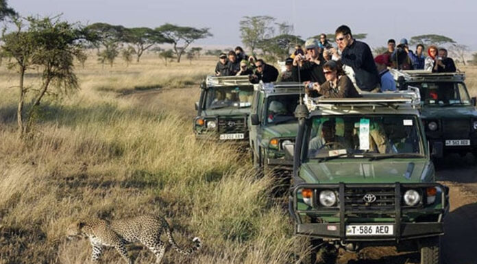 Planning a Safari to East Africa East Africa Safari