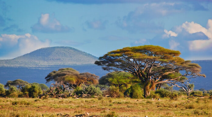 Why Travel to East Africa for Self-Drive? East Africa Tourism