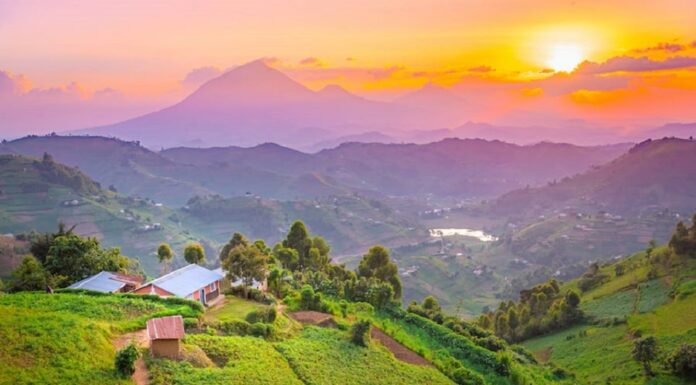 Planning a Holiday in a Foreign Country Travel Planner