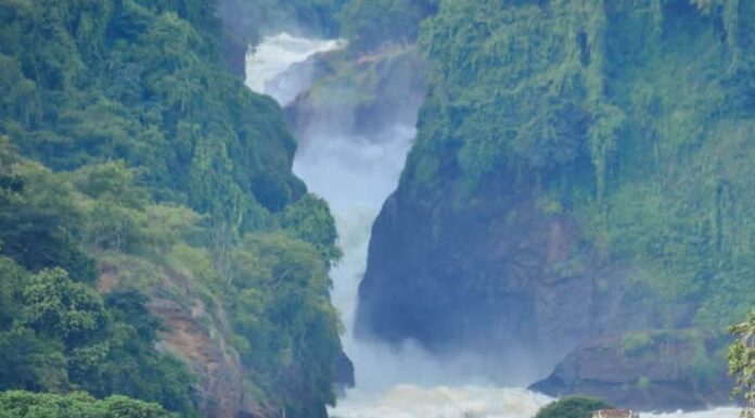 Uganda Ranked Top Tourist Destination in 2024 By Bradt Guide