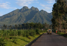 Gorilla Trekking in Rwanda’s Misty Virunga Mountains Virunga Volcano