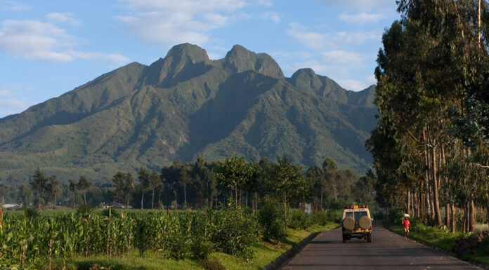 Gorilla Trekking in Rwanda’s Misty Virunga Mountains Virunga Volcano