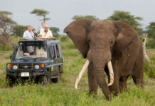 Is It Safe to Self Drive in East Africa? East African Safari Adventure