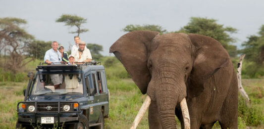 Is It Safe to Self Drive in East Africa? East African Safari Adventure