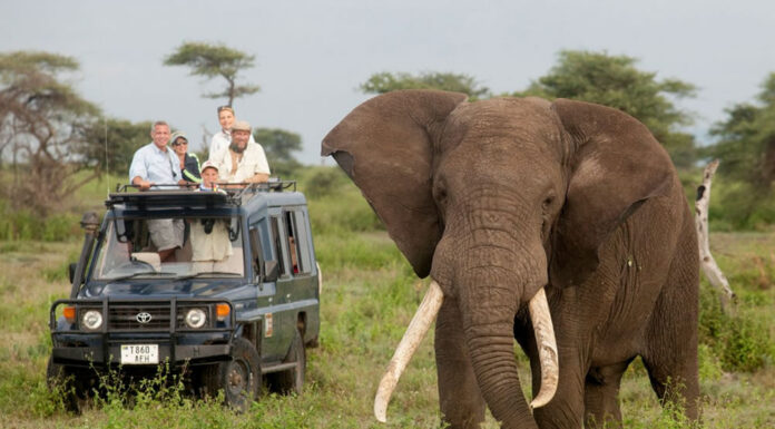 Is It Safe to Self Drive in East Africa? East African Safari Adventure