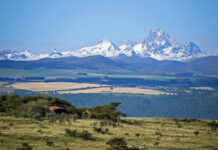 Top 10 Things to Do in Kenya Wild Mount Kenya