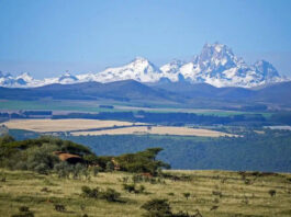 Top 10 Things to Do in Kenya Wild Mount Kenya