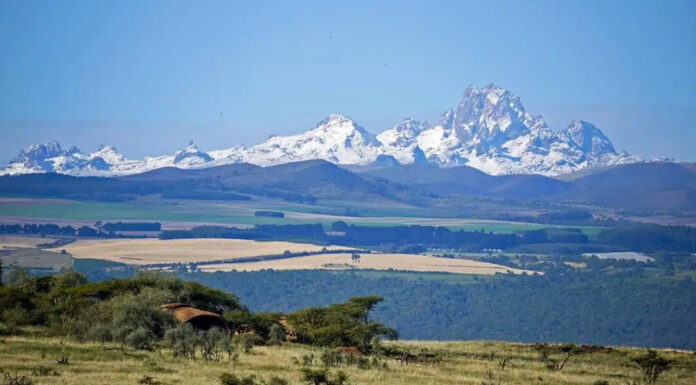Top 10 Things to Do in Kenya Wild Mount Kenya