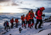 The Major Mountains in East Africa Kilimanjaro Trekking