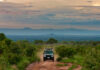 A Guide to Self-Drive Family Safaris in East Africa East Africa Parks