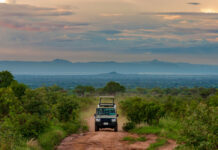 A Guide to Self-Drive Family Safaris in East Africa East Africa Parks
