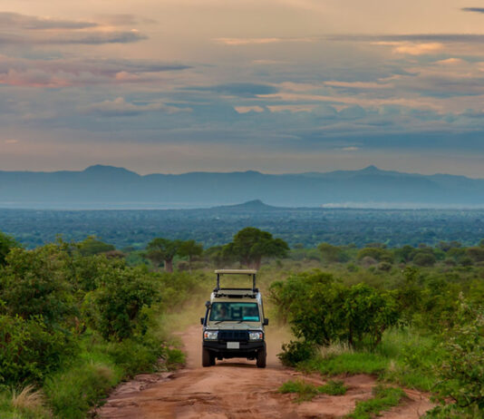 A Guide to Self-Drive Family Safaris in East Africa East Africa Parks