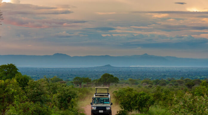 A Guide to Self-Drive Family Safaris in East Africa East Africa Parks